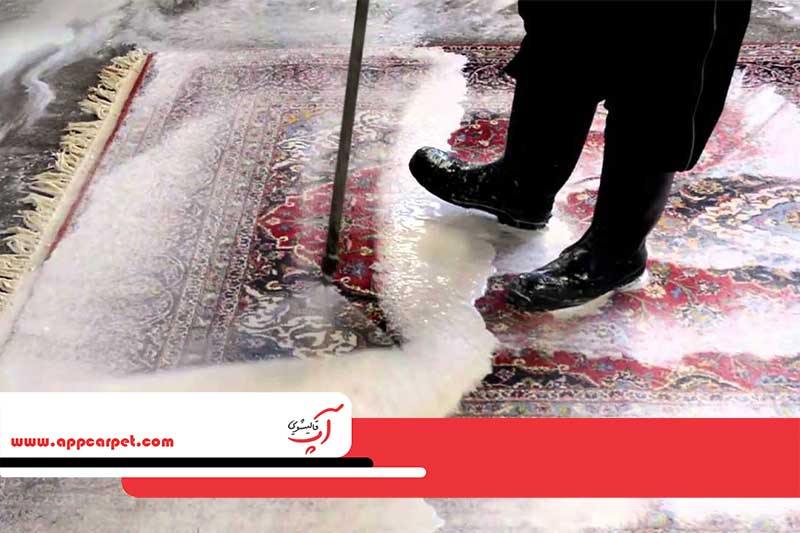 خدمات قالیشویی مجیدیه