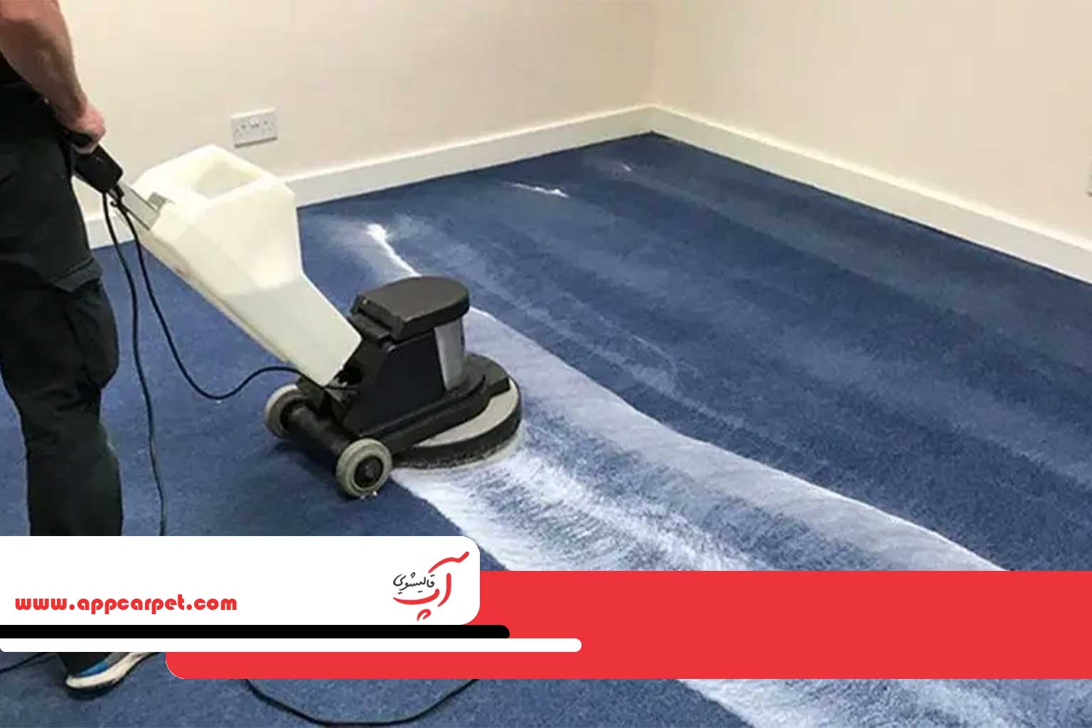 موکت شویی در قالیشویی هروی