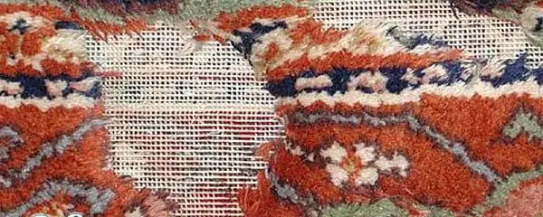 علتهای پوسیدگی فرش