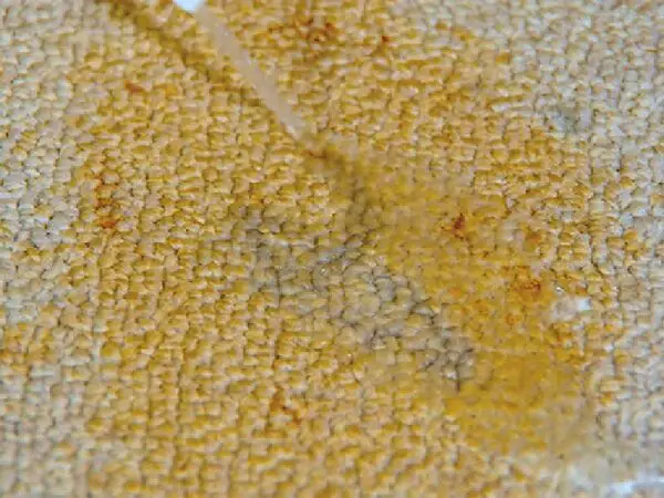 نکات مهم برای جلوگیری از تثبیت لکه