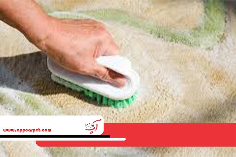 راهکار رفع بوی بد فرش
